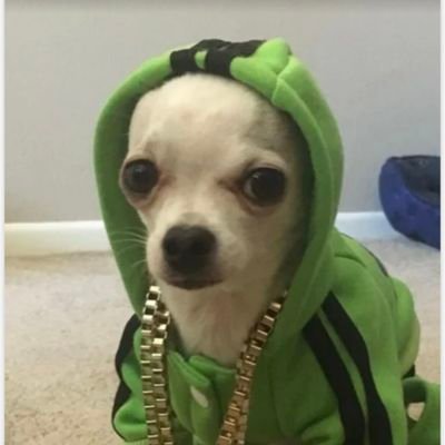 timfox7700's profile picture. 