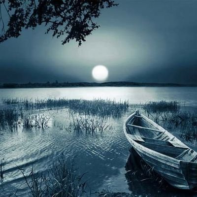 Ammar_Futaini's profile picture. 