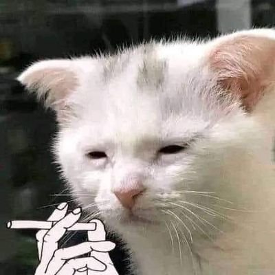 segc2204's profile picture. All that you have is your soul