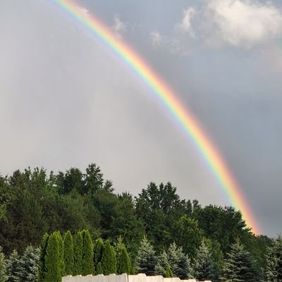 Annette56996915's profile picture. 🌊🇺🇦