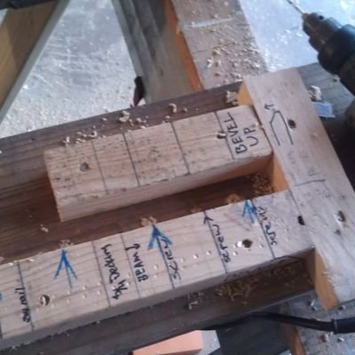 ShouldItExist's profile picture. 