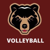Clinton College Volleyball (@goldenbear_vb) 's Twitter Profile