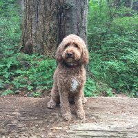 Maddiesayswhat? 🇨🇦🇨🇦🇨🇦 (@maddiesayswhat1) 's Twitter Profile Photo Maddiesayswhat? 🇨🇦🇨🇦🇨🇦 (@maddiesayswhat1) 's Twitter Profile Photo