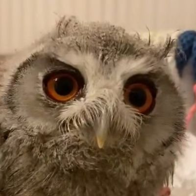 lemon_March's profile picture. 