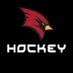 SVSU HOCKEY (@SagValleyhockey) Twitter profile photo