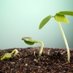 Seeds 4 Change (@seeds4change3) Twitter profile photo