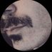 Antonio Severoni (@antonioseveroni) Twitter profile photo Antonio Severoni (@antonioseveroni) Twitter profile photo
