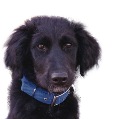 SLOWTRAINYO's profile picture. 