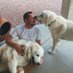 Rob Voreck (@rob_voreck) Twitter profile photo Rob Voreck (@rob_voreck) Twitter profile photo
