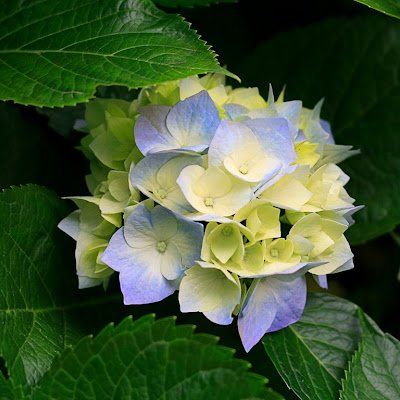 Priyankarawatpr's profile picture. 