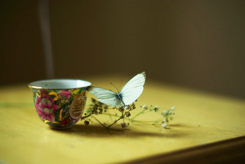 danux00's profile picture. 