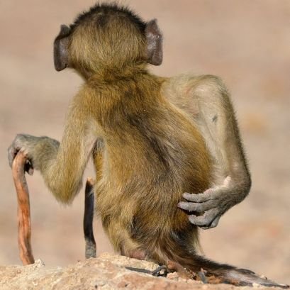 jcanasg1's profile picture. échale pienso que agua tiene