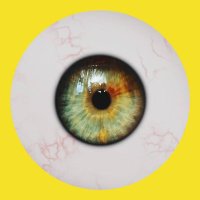 Stina Leek (@stntttttttt) 's Twitter Profile
