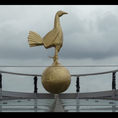 LM22xx's profile picture. Manic