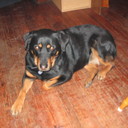 tim beaver - @timbvr - Twitter