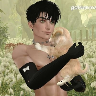 My photo gallery for Gaming, imvu and switch