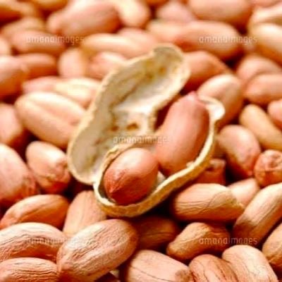 ootsukapeanuts's profile picture. 落花生の本場千葉市より落花生を作り続けて百余年。  落花生についての情報を発信していきます。