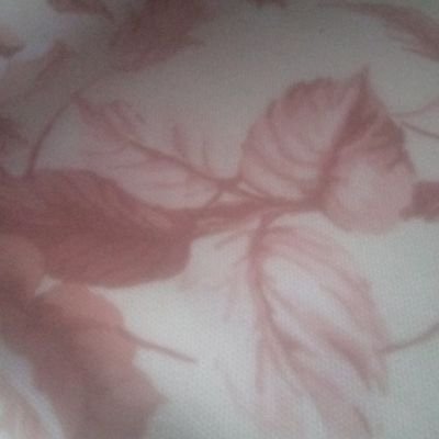 ali73198881's profile picture. 