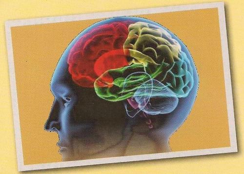 Stress Prevention Clinic; Kelapa Gading Square Blok I No. 19 (MOI)
Telp.(021) 458 706 15-17; Fax.(021) 458 706 26; Email&FB:stresspreventionclinic@yahoo.co.id