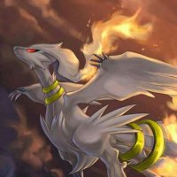 ラズリ (@free_g93) Twitter profile photo