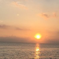 ZDZZDZ (@a53211a) 's Twitter Profile