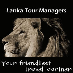 srilankanz's profile picture. We are a Sri Lankan owned inbound tour operating company based in Sri Lanka.