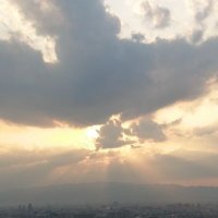 Meet🇯🇵 (@0922s0126h0509y) 's Twitter Profile Photo