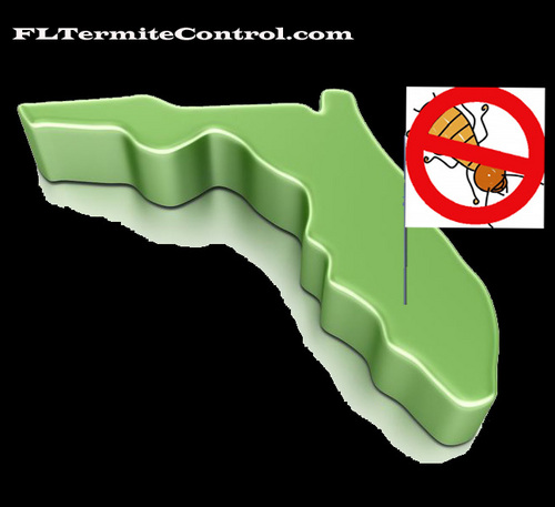 Florida Bed Bug Control Company