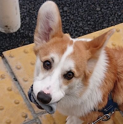 1minato3's profile picture. 