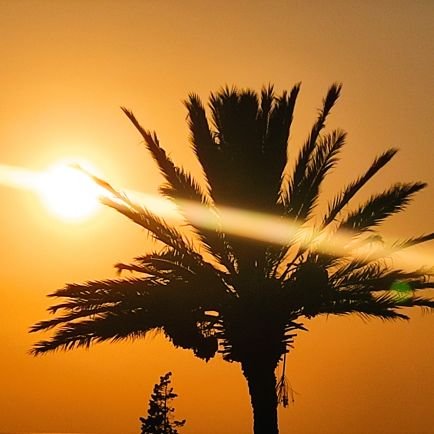 kraynex's profile picture. Had no idea what twitter was for... Still searching for answers.