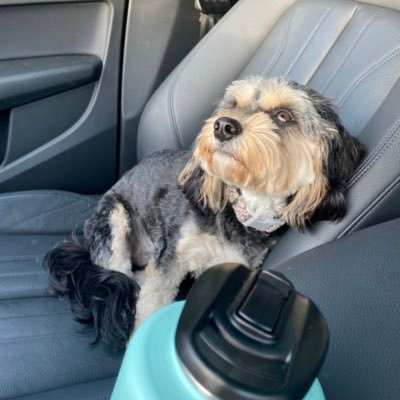 josielee26's profile picture. 