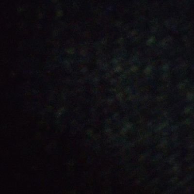 Lily1inKey's profile picture.