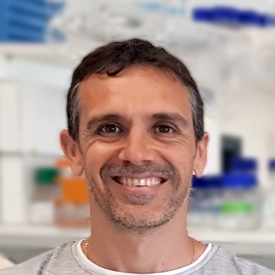Principal Investigator of Dynamic of the Genome in Cancer at IBiS (Sevilla-Spain).
Cellular Biology Dpt. University of Sevilla