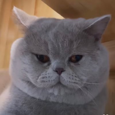 cutago's profile picture. Mezunlar Kulubü