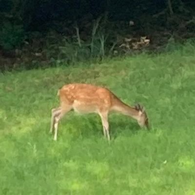 ykumk_sum's profile picture. MBTI : INFJ。ただのへっぽこ会社員。ゴルフネタ多いかも。プロレスとボクシングを観るのが好き。ワイプと今の政治が嫌い。ゴルフは2021年から始めました。ベストスコア：81 ハーフベスト：39