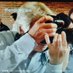 luis olmeda paris (@luisolmedaparis) Twitter profile photo luis olmeda paris (@luisolmedaparis) Twitter profile photo
