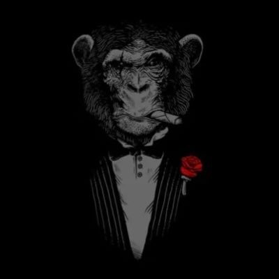 TheStoicSimian's profile picture. 