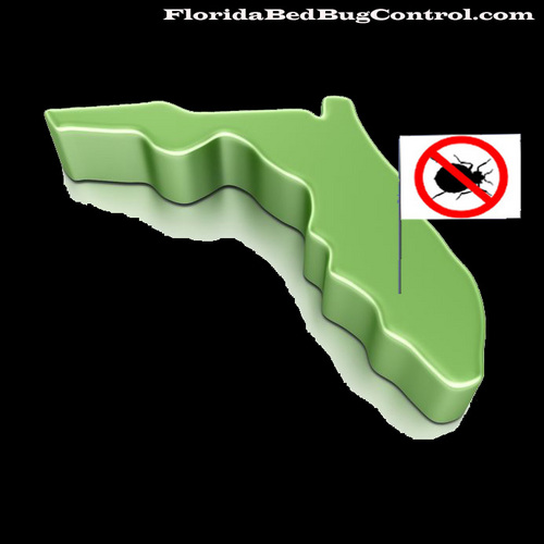 FloridaBedBug Profile Picture