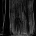Mayla Creeps (@maylahorror) Twitter profile photo Mayla Creeps (@maylahorror) Twitter profile photo