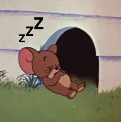 filosottiIe's profile picture. .