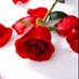 معلمة متألقة (أم الأميرات) (@mmtalqt) Twitter profile photo معلمة متألقة (أم الأميرات) (@mmtalqt) Twitter profile photo