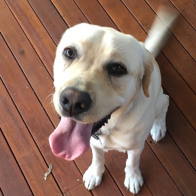 Max Profile