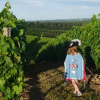Armagnac & D'Artagnan Tourisme (@otarmagnac) 's Twitter Profile