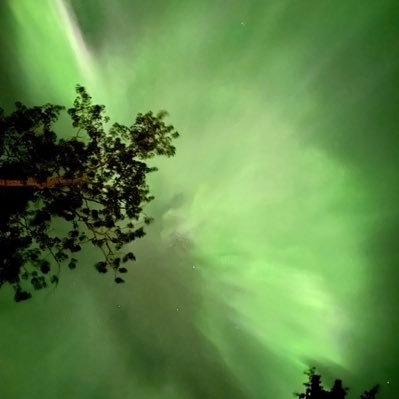 robrainforest's profile picture. 