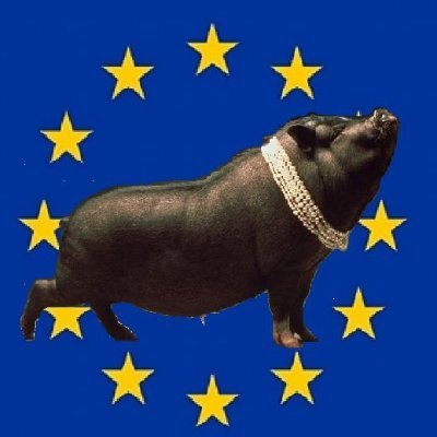 VasjaVasja1's profile picture. 