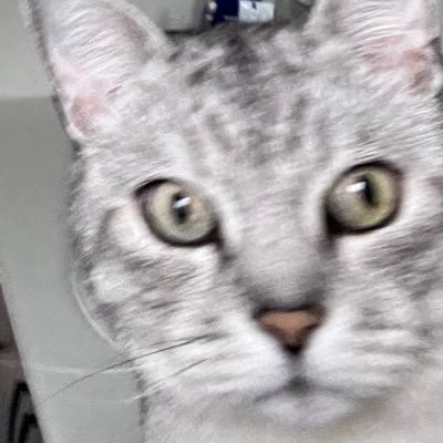 zuzu0115's profile picture. been a pride of lions so afraid to leave our cages