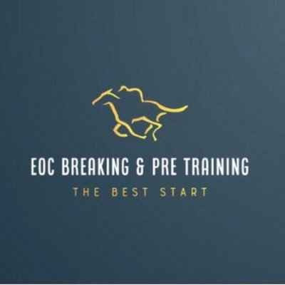 Curragh based breaking & pre training operation. Providing the best start for a young horse’s education.