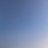 午前の紅茶のアイコン