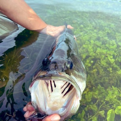 tayutayu1117's profile picture. 塗装屋経営