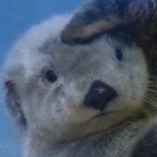 4O4_NOTF's profile picture. 고등학교4학년 성인 팔로하지말아주세옹🫶